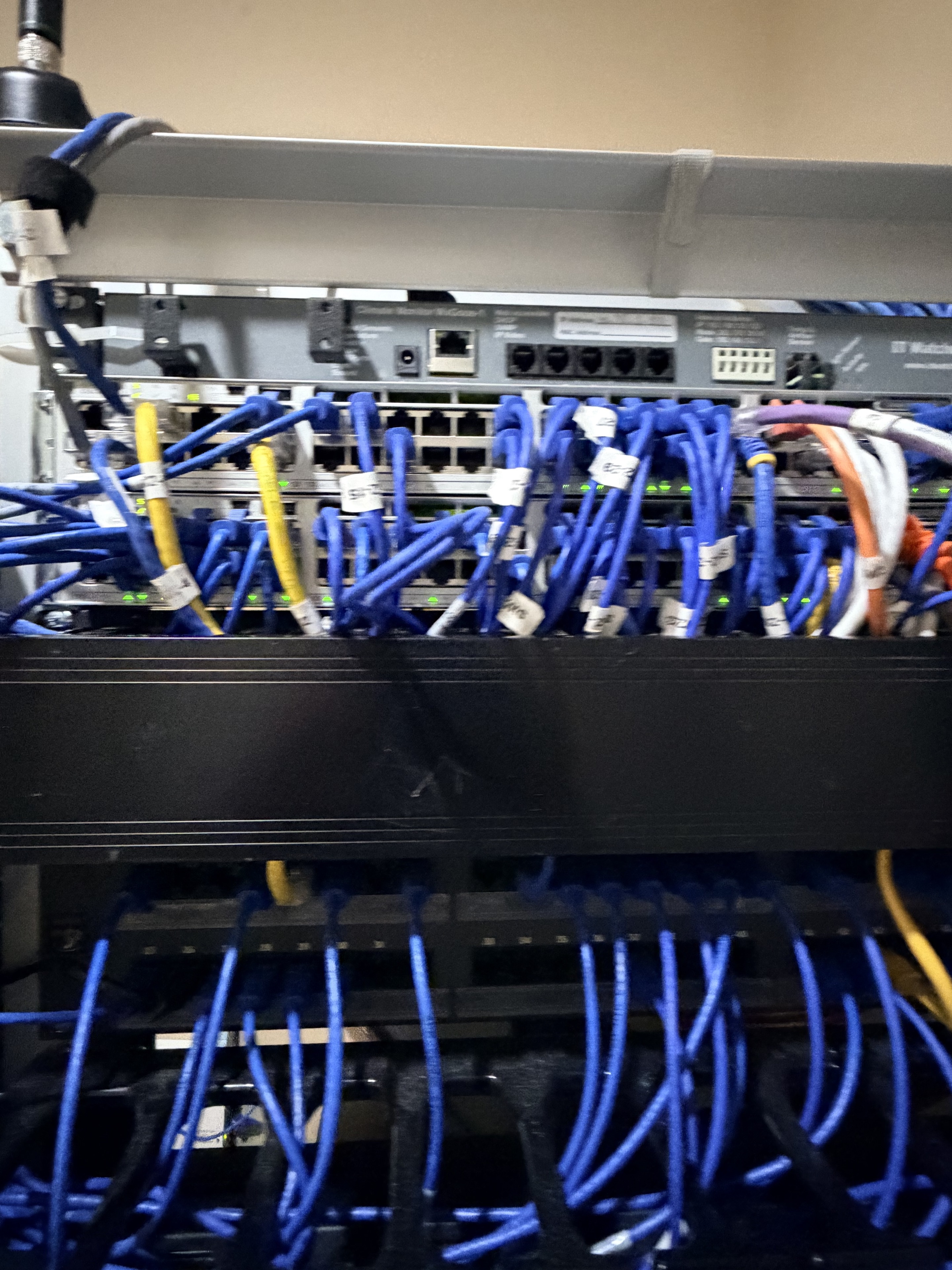 Network switches and labeled patch connections